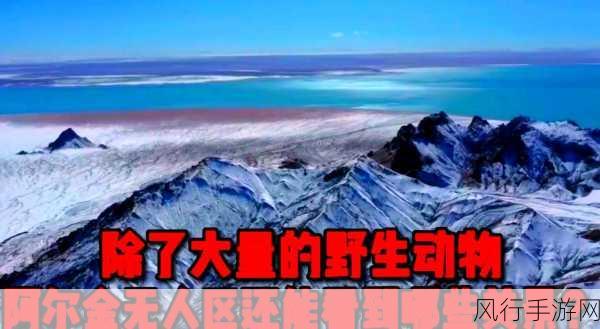 无人区编码8229J-无人区探秘：8229J编码下的神秘旅程与冒险故事