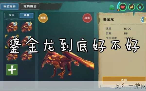 创造与魔法鎏金龙获取攻略,珍稀坐骑的财富密码