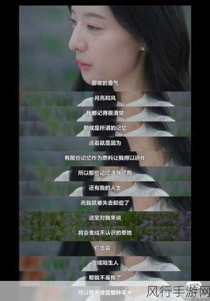 一边摸上面一边膜下奶韩剧-一边摸索人生,一边追寻梦想的韩剧故事