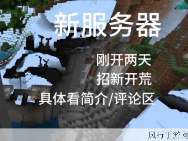 我的世界服务器领地数量查询,手游经济新视角