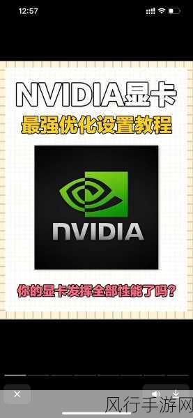 三国志13卡顿难题与NVIDIA全局设置失踪,手游公司如何应对?