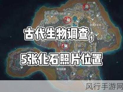 原神层岩巨渊岩巅大侠往事任务，深度攻略与财经数据透视