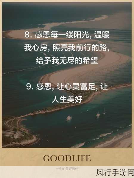 一只手刚好能握住-掌握生活的每一个瞬间,拓展无限可能