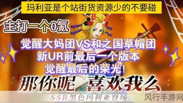 航海王,燃烧意志甚平专属套装深度解析,打造海域霸主新篇章