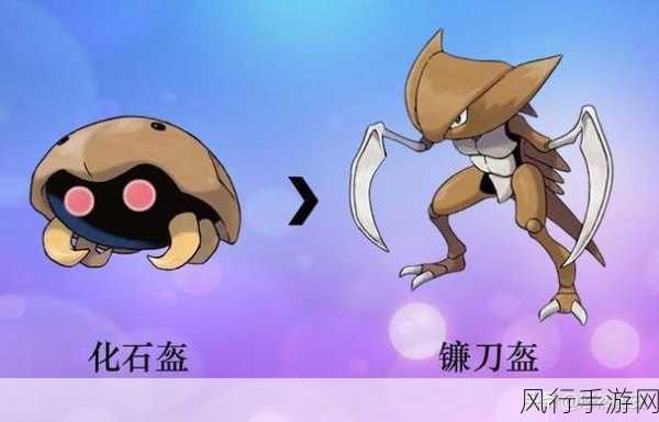 宝可梦大探险，宝石海星的技能奥秘