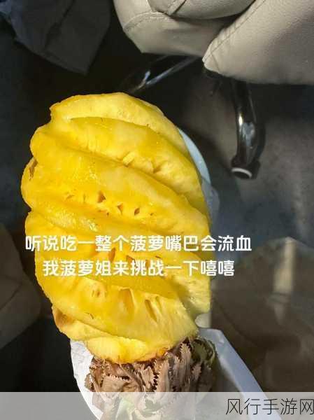 大菠萝福建网站-探索大菠萝福建网站的丰富内容与精彩活动