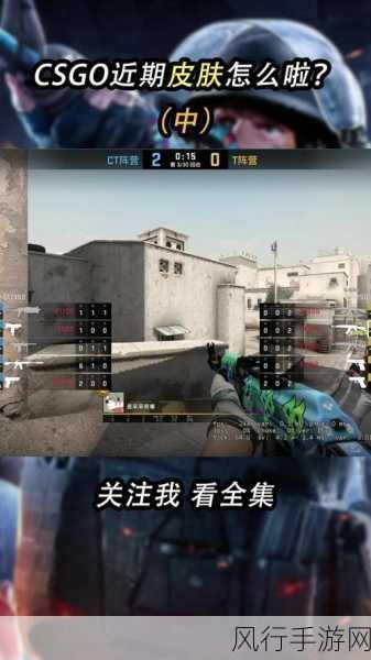 暴躁老阿姨csgo经典片段-暴躁老阿姨的反击：CSGO经典瞬间大盘点，精彩不断！