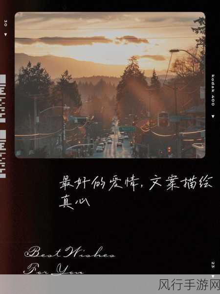 wwww两个人片-在无尽的网络世界中，两个人的爱情旅程