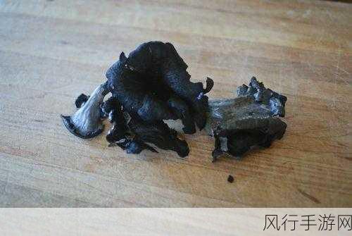 17c独家爆料黑料蘑菇-17c独家揭秘：黑料蘑菇背后的真相与阴谋