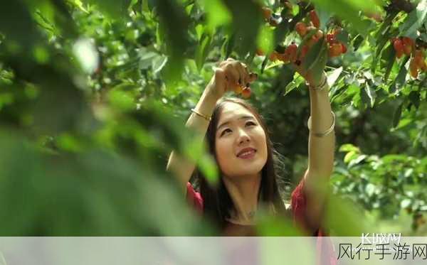 樱桃免费视频-精彩樱桃视频分享：尽享美好生活的每一刻！
