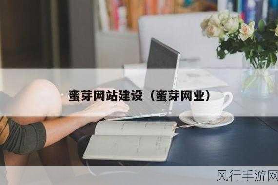 蜜芽转接入口-拓展蜜芽转接入口，提升用户体验与服务效率