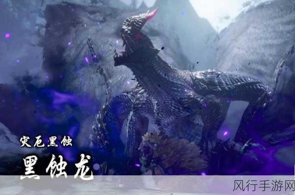 怪物猎人崛起优质龙蛋获取攻略，道具获取新视角