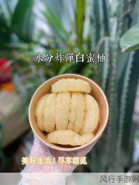 国产精品秘 入口免费视频蜜柚-探索国产精品秘，畅享蜜柚免费视频新体验！