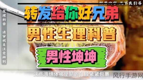 男人将坤坤放进女人的桃子里。-男人将坤坤放进女人的桃子里的奇妙故事与启示