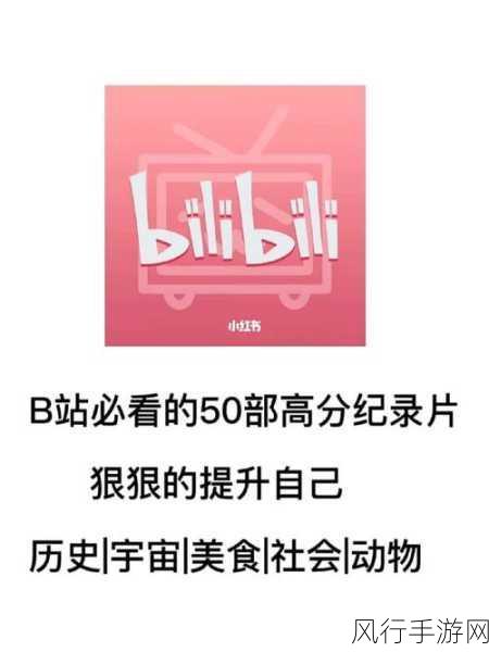适合晚上一个人看b站网址-适合晚上一个人观看的B站节目推荐及网址分享