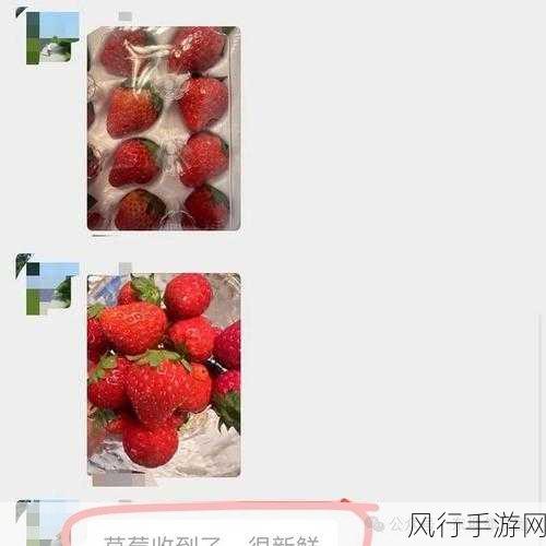 草莓视频最新地址-草莓视频最新地址分享,精彩内容尽在其中!