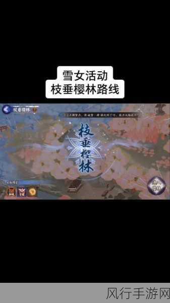 阴阳师枝垂樱林成就攻略,解锁财富与荣耀的钥匙