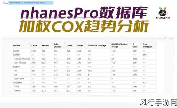 伊洛纳大剑使，技能加点策略与实战数据分析