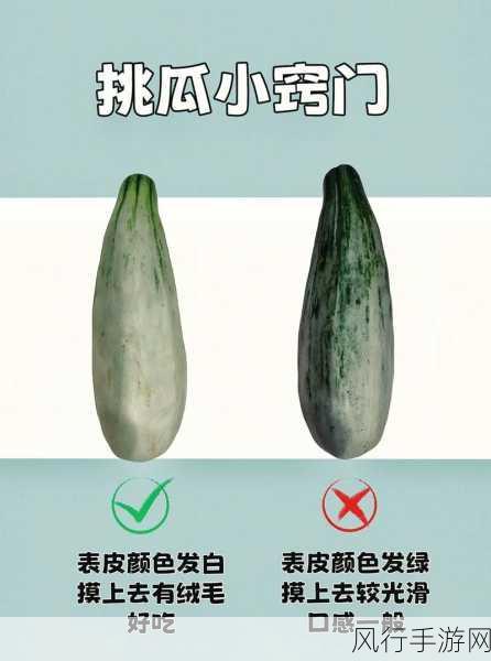 今日吃瓜黑料 - 911爆料网-红领巾瓜报 八卦有理 爆料无罪-今日吃瓜黑料大揭秘:911爆料网带你深度解析红领巾背后的八卦真相!