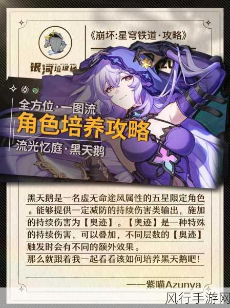 崩坏星穹铁道,黑天鹅Dot队配队策略与财经分析