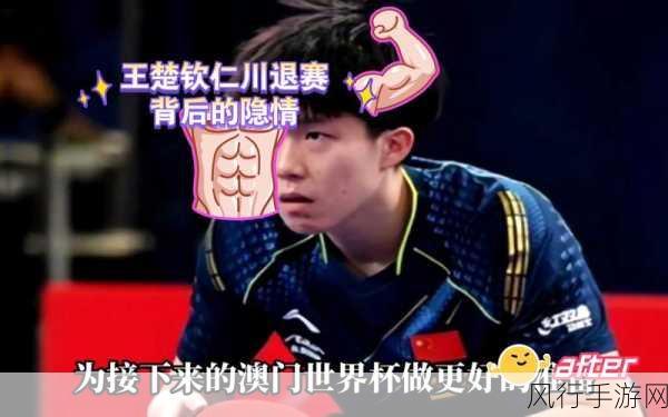 王楚钦2019拆分大闹-王楚钦2019年拆分大闹事件全解读与背后故事探秘