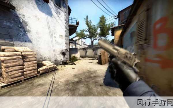 暴躁妹妹csgo最新版本-暴躁妹妹CS:GO全新版本:战斗升级,挑战极限!