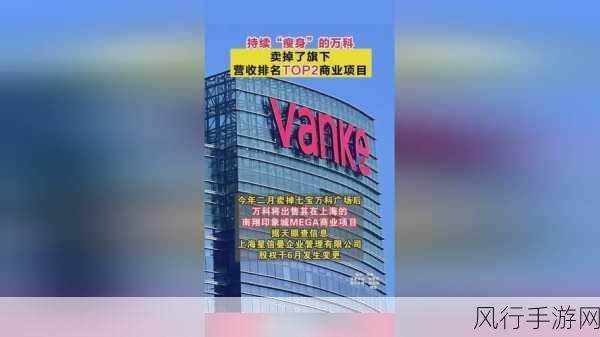 17c起草+国卢-“深化国际合作,推动17c起草与国卢新发展”