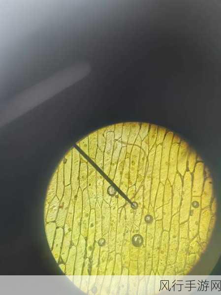 幸福宝8008隐藏读书入口章节-探索幸福宝8008：隐藏读书入口的奥秘与乐趣