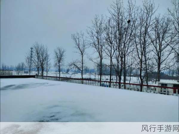 澳大利亚冬日雪景，手游市场的新机遇？