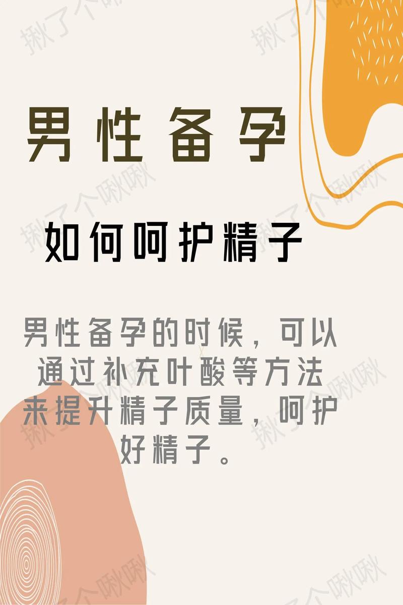 探索，精子的生存之战与策略之道