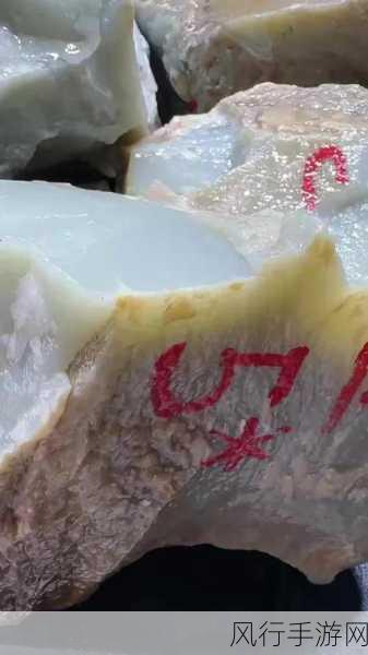 sooo.tv黑料网-探索sooo.tv黑料网:揭秘网络背后的真相与故事
