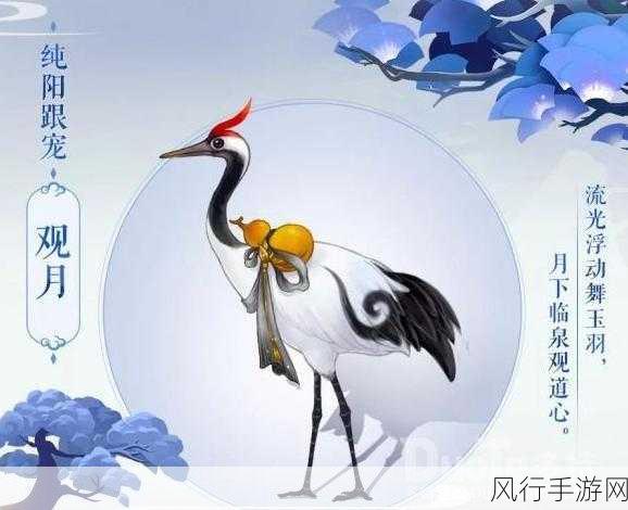 剑网 3 指尖江湖纯阳全攻略，带你称霸江湖