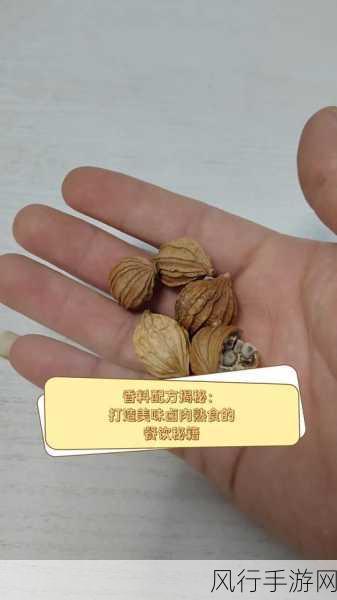悟饭游戏厅快打旋风出招秘籍大揭秘