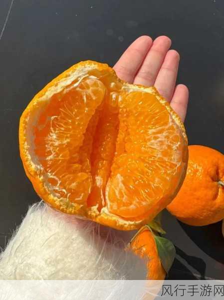 揭开粑粑柑之名的神秘面纱