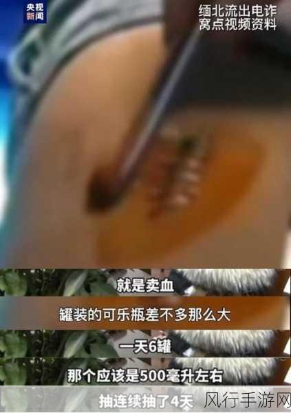 2023缅北血腥网站-2023年缅北血腥冲突升级,局势愈发紧张与复杂