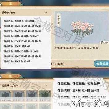 桃源深处有人家，花圃育种攻略解锁财富密码