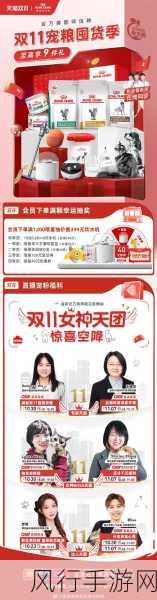 天猫双 11，消费狂欢背后的数字奇迹