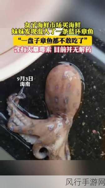 无限暖暖惊险拍摄偏激章鱼,任务攻略与财经数据解析