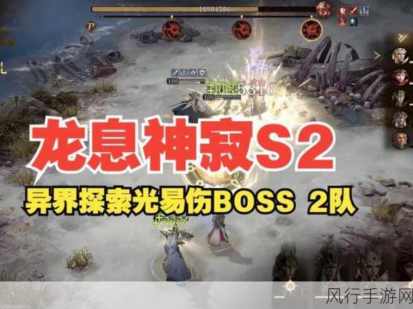 龙息神寂光队玩法深度解析与队伍搭配财经数据