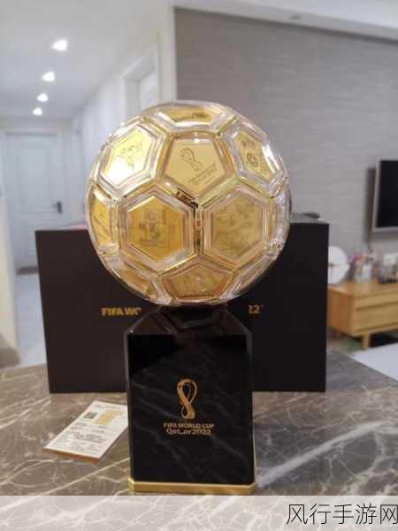FIFA 2010 南非世界杯足球赛,辉煌成就的探秘之旅
