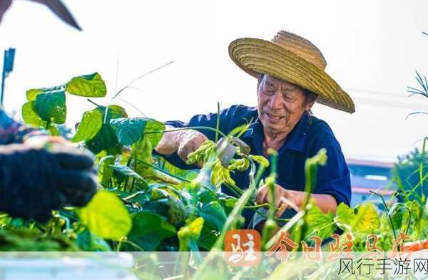 毛豆免费卡密-免费获取毛豆卡密，畅享精彩内容新体验！