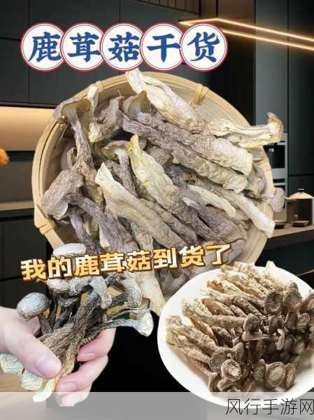 黑料网蘑菇视频-探秘黑料网蘑菇视频的背后故事与真相