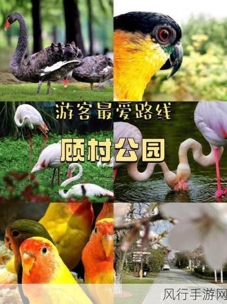 羞羞漫画免费登入-探索羞羞漫画的免费登入方式,尽享无限畅快阅读体验!