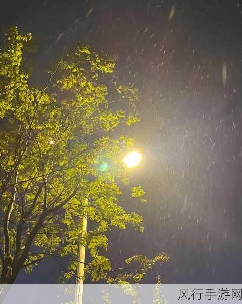 外回り中に突然の大雨一雨宿山上-外回り中に突然の大雨、山上で一時避難したエピソード