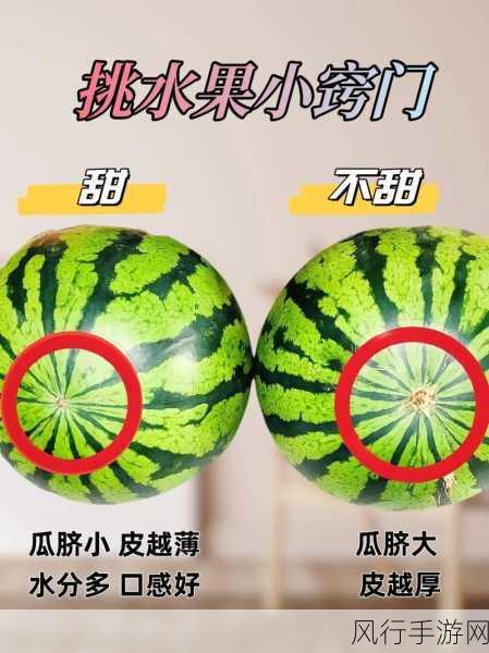 51cgfun每日吃瓜必吃防走丢-每日吃瓜必看：51cgfun防走丢全攻略，助你轻松追剧