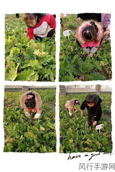 拔萝卜打扑克不盖-拔萝卜打扑克,乐趣无穷的亲子游戏活动