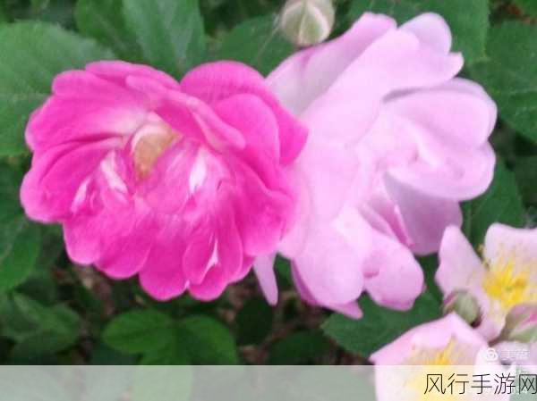 韩国三色电费优惠活动-全面推广韩国三色电费优惠活动,助力节能环保新生活