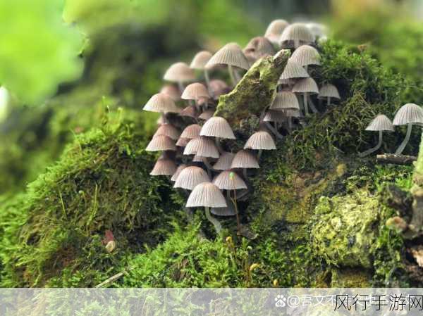 精东羞羞视频-精东羞羞视频：探索甜蜜与刺激交织的奇妙旅程