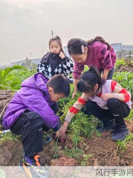 光腿拔萝卜 光腿拔萝卜-光腿拔萝卜：追寻自然中的新鲜与健康生活方式