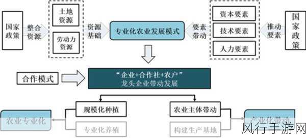 农村末发育一区二区三区-推动农村末发育区域经济发展与社会进步的新路径探索